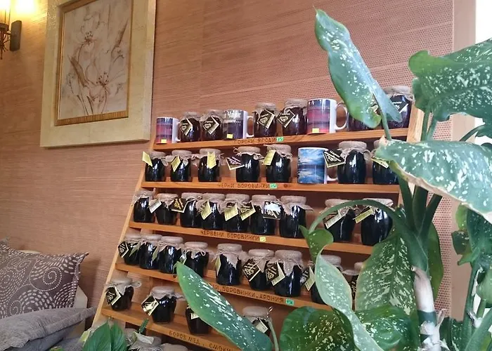 埃泰尔诺家庭酒店 3* 西格伏沙尔克